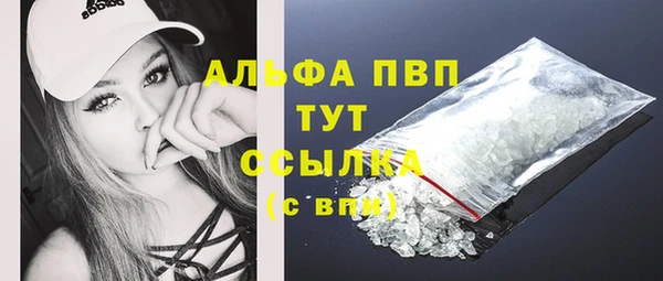 хмурый Богданович