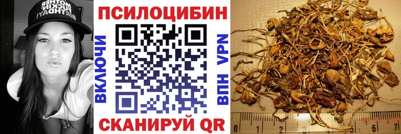 Галлюциногенные грибы прущие грибы  Чернушка 